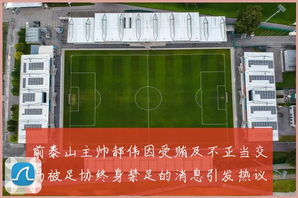 前泰山主帅郝伟因受贿及不正当交易被足协终身禁足的消息引发热议